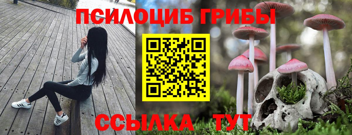Галлюциногенные грибы GOLDEN TEACHER Урус-Мартан