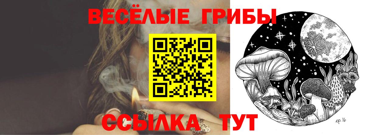 Урус-Мартан  Псилоцибиновые грибы мицелий  Псилоцибиновые грибы ЛСД  Вход с VPN 